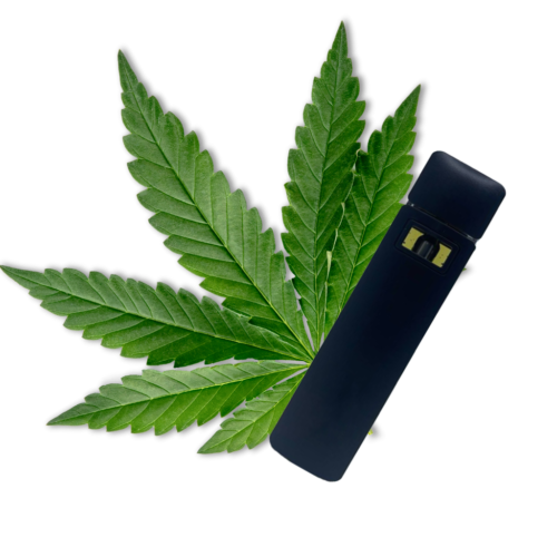 Sind THC-Vape-Kartuschen schlecht für Sie? 12 THC-Vapes Zen THC Vape Pens